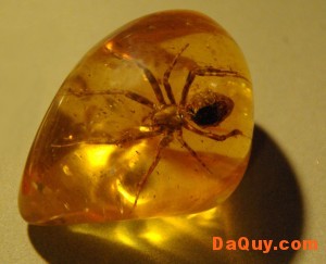 ho phach amber 300x243 Đá Hổ Phách (Amber) và tác dụng chữa bệnh (theo dân gian cổ xưa)