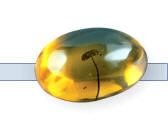 ho phach Đá Quý Hổ Phách (Amber) – Nhận biết nguồn gốc, cách sử dụng, bảo quản và giá trị